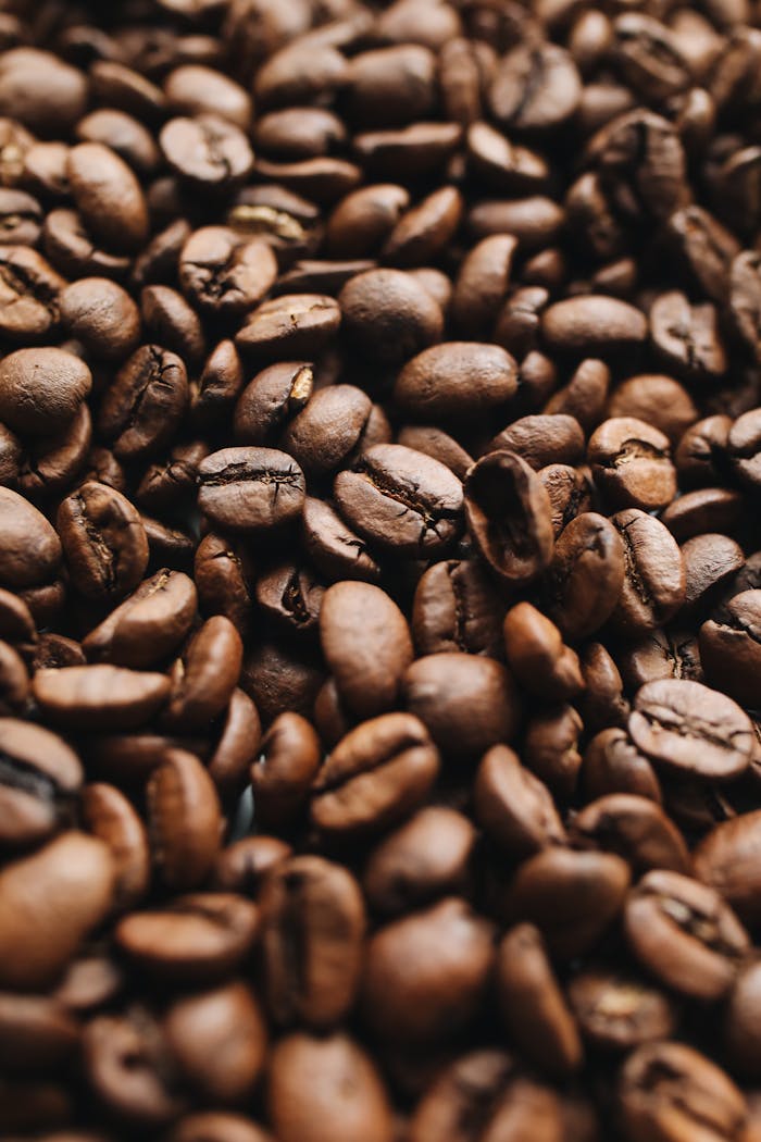 Close-up view of aromatic roasted coffee beans showcasing texture and richness.