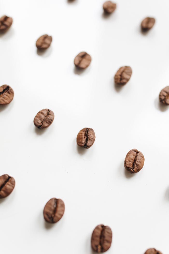 Artistic arrangement of coffee beans on a white backdrop, emphasizing a minimalist style.